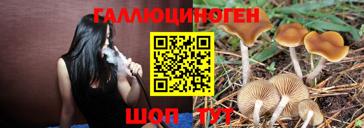 сколько стоит  Вход с VPN  Галлюциногенные грибы мухоморы  Рыбинск  Псилоцибиновые грибы мицелий 